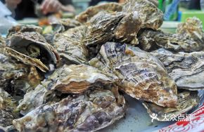 Trending Rushan Large Oyster