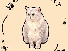 -谐和贝康宠物医院24小时·宠保定点(急重症转诊中心)