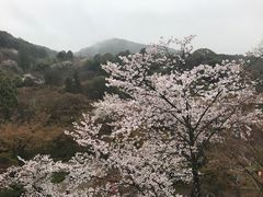 -有栖山 清光院 清水寺