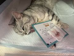 -瑞派福兴宠物医院犬猫全科·骨科·中西医结合(河东店)