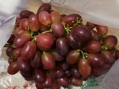 智利美人籽-云峰水果大卖场(汉口西路店)