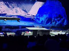 -华夏文旅海洋公园