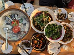 -全乐鱼馆·淳牌有机鱼直营店
