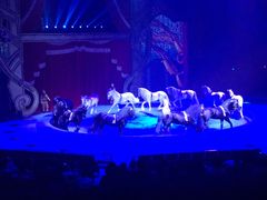 -珠海横琴长隆《卡卡虎奇遇记》