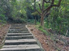 -黄埔油麻山森林公园
