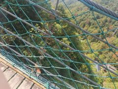 -遂昌金矿国家矿山公园