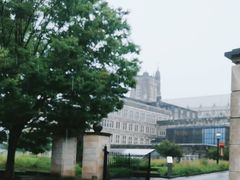 -普林斯顿大学