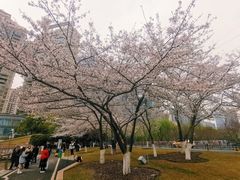 -西北湖绿化广场