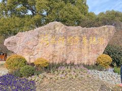 -无锡梅园公园