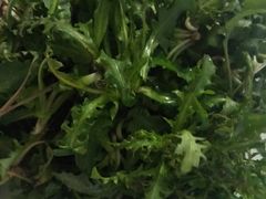 野菜-水库活鱼馆(于桥水库店)
