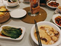 -圣丰盛宴酒家(东城店)