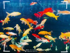 -杭州长乔极地海洋公园