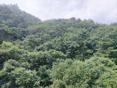 -天津盘山风景名胜区