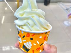 -岭南站NOVA