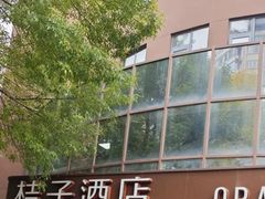 -桔子酒店(天津五大道店)