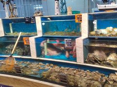 -福娣·金沙银贝海鲜火锅