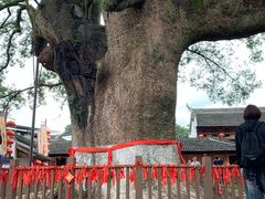 -新安江山水画廊风景区