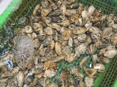 -和源祥·日照菜扛把子(万平口一店)