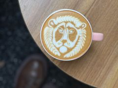 -SAFARI COFFEE