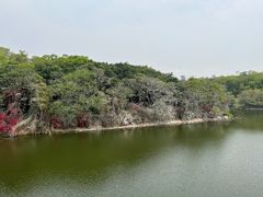 -广州莲花山旅游区