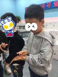 -Moni星球萌宠·小马宝莉·灵蛇·高端高阶全萌宠互动体验俱乐部(红豆国际广场店)