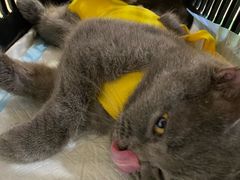 -拜鲁耶动物诊疗中心·宠家动物医院