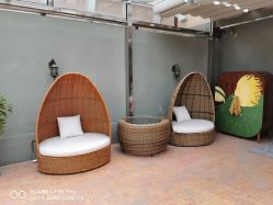 -生命加•Q考拉月子会所(玫瑰园店)
