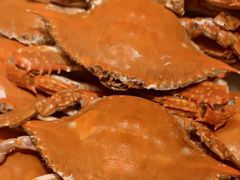 -旺角小渔村(二马路店)