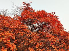 -水峪民俗村