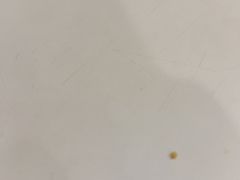 -赛百味SUBWAY(东风广场店)