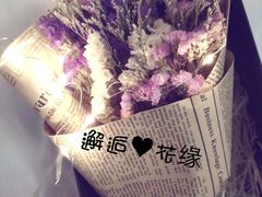 -杉杉奥特莱斯广场(哈尔滨店)