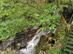 -藏龙百瀑风景区