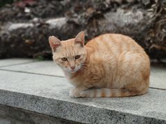 -福州开元寺