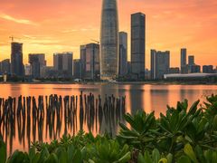 -深圳人才公园