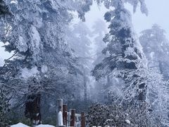 -瓦屋山景区