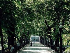 -东山湖公园