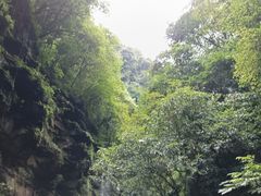 -碧峰峡风景区