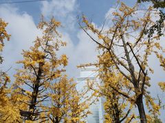 -两江幸福广场