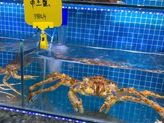 -前王院•巧克力海鲜市集餐厅(万平口店)