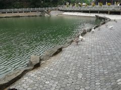 -广州市帽峰山景区