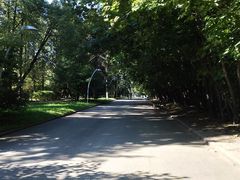 景点-莫斯科大学