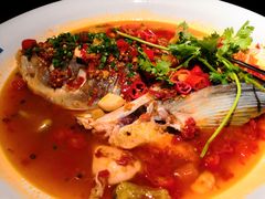 -坛宗剁椒鱼头(河西王府井店)