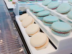 -麦雪尔甜品·生日蛋糕(新街口旗舰店)