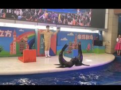 -成都浩海立方海洋公园