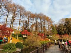 -四明山国家森林公园