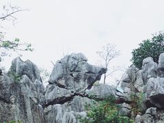 -千岛湖石林