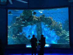 -海合安武汉极地海洋公园