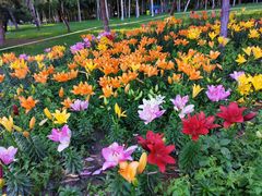 -长春公园(普阳街道)