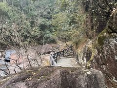 -黄山翡翠谷景区