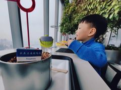 -上海中心大厦